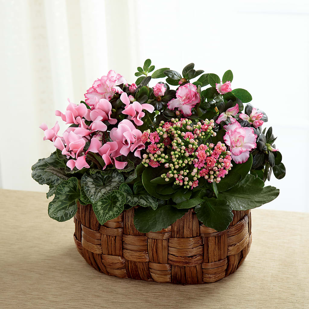 Pink Assortment – Hilltop Florist Llc, Stanford KY