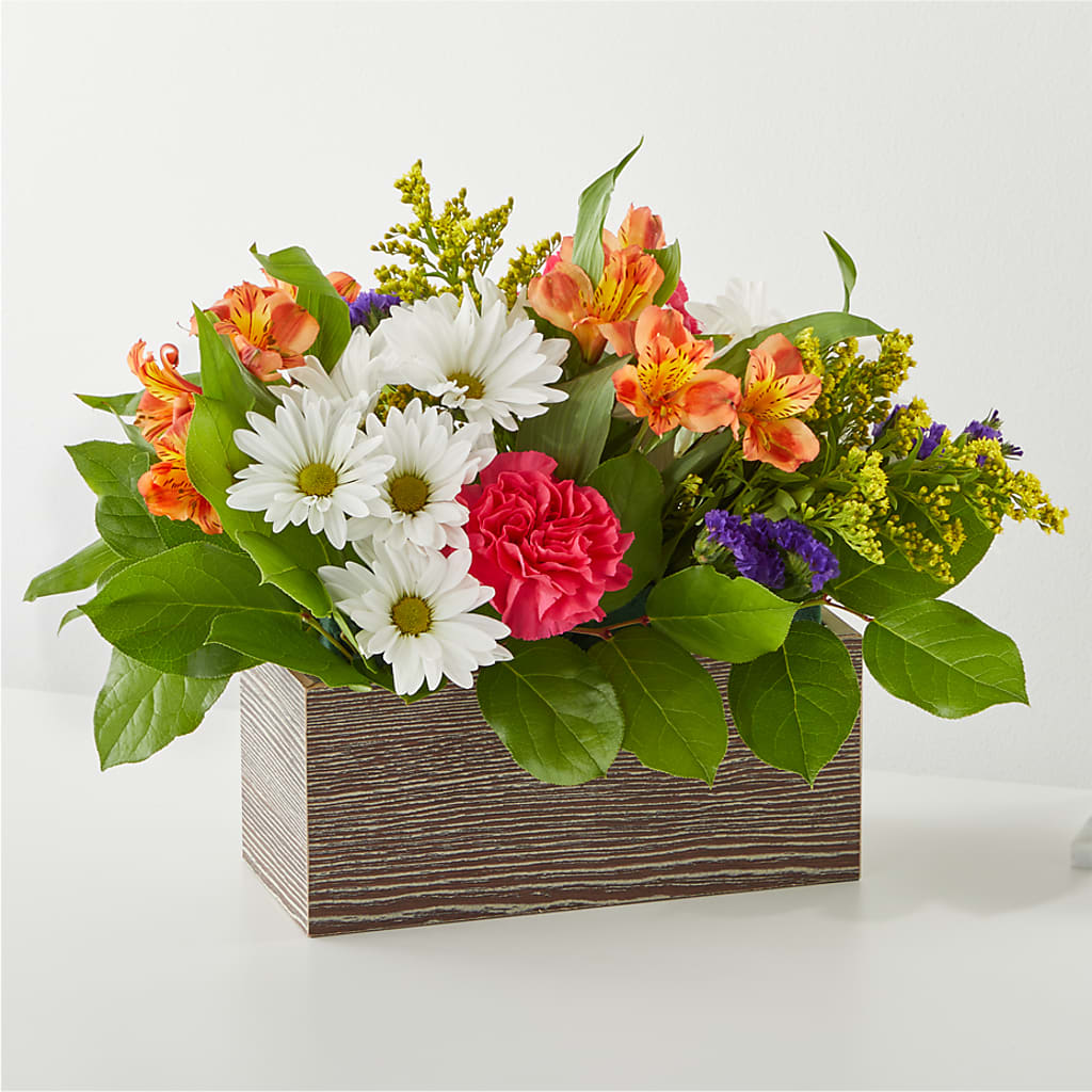 Oopsie Daisy Box Bouquet – Hilltop Florist Llc, Stanford KY