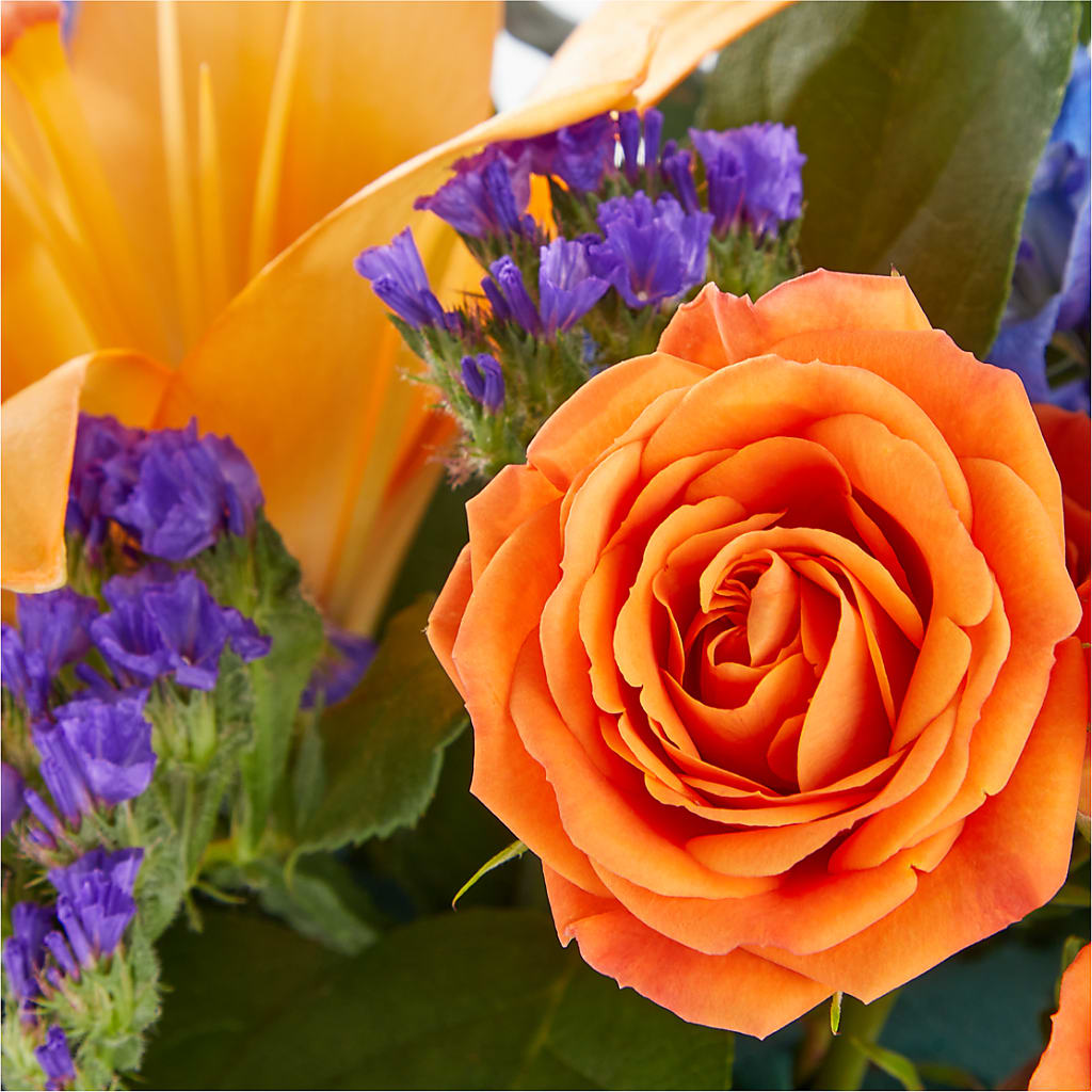 Radiant Citrus Box Bouquet – Hilltop Florist Llc, Stanford KY