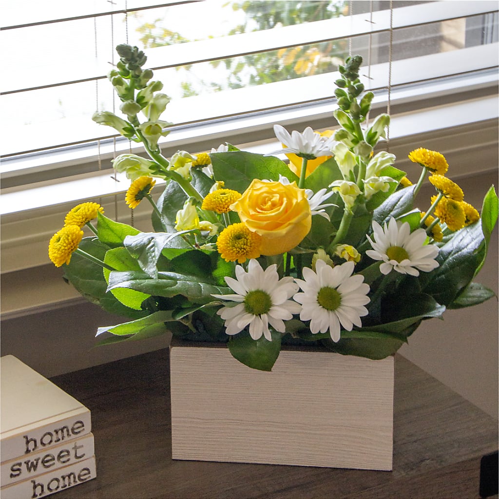 Sun Salutation Box Bouquet – Hilltop Florist Llc, Stanford KY