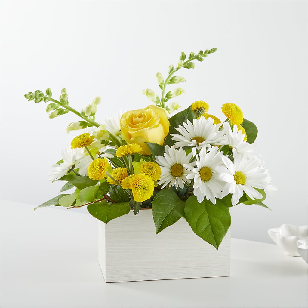 Sun Salutation Box Bouquet – Hilltop Florist Llc, Stanford KY