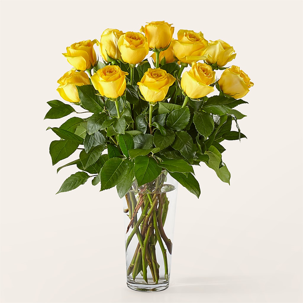 Long Stem Yellow Rose Bouquet – Hilltop Florist Llc, Stanford KY