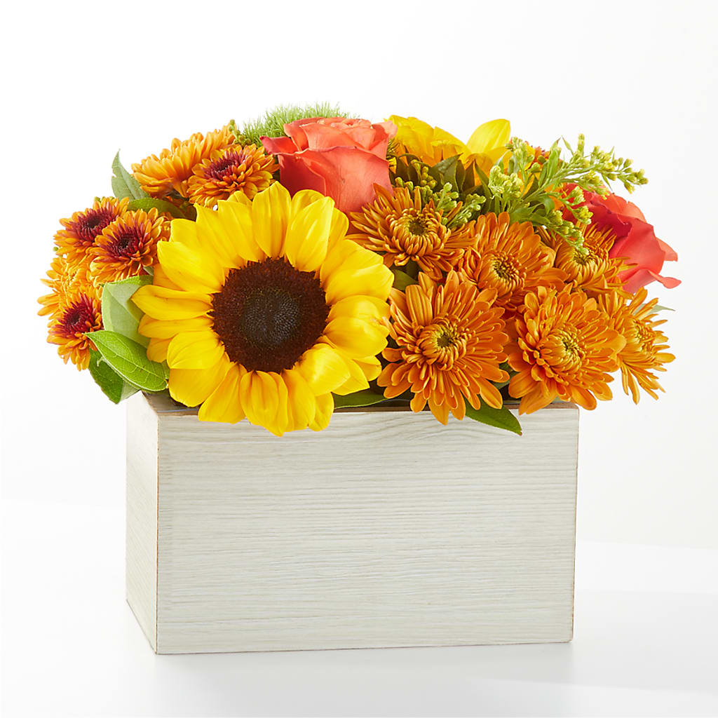 Farmer’s Market Stroll Bouquet – Hilltop Florist Llc, Stanford KY