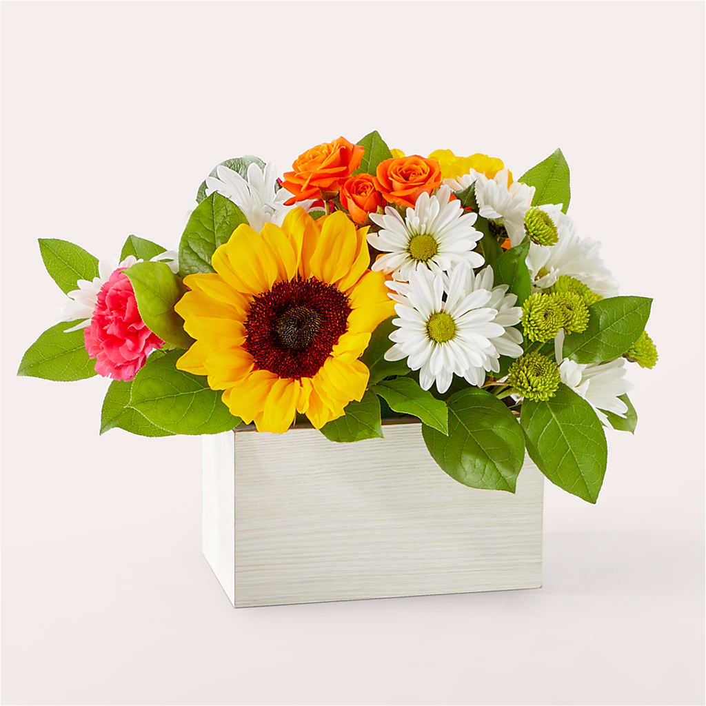 Sun-drenched Blooms Box Bouquet – Hilltop Florist Llc, Stanford KY