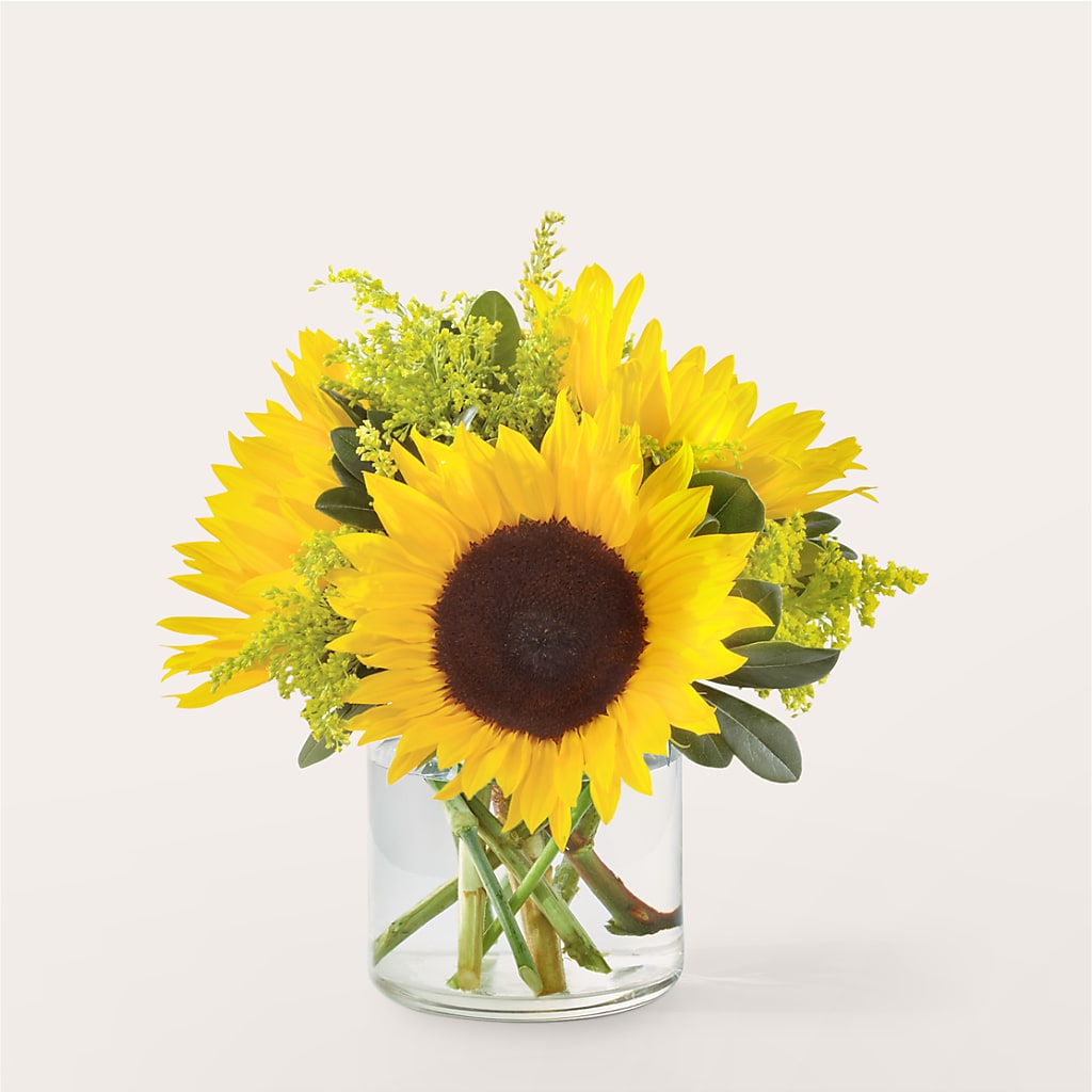 Beaming Sunflower Bouquet – Hilltop Florist Llc, Stanford KY