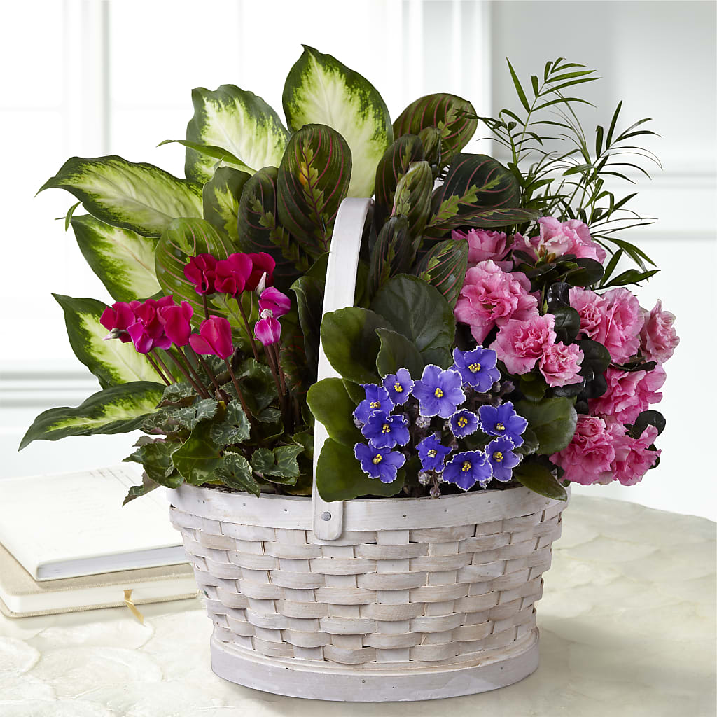 Peaceful Garden Planter – Hilltop Florist Llc, Stanford KY