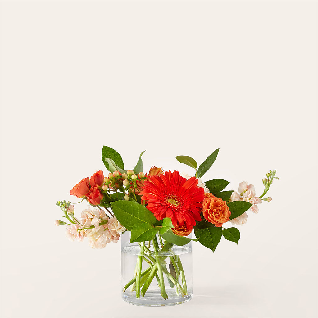 Paloma Please Bouquet – Hilltop Florist Llc, Stanford KY