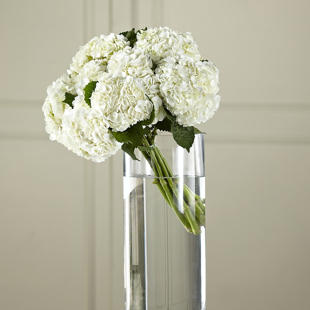 White Hydrangea Hand-Tied Bouquet – Hilltop Florist Llc, Stanford KY