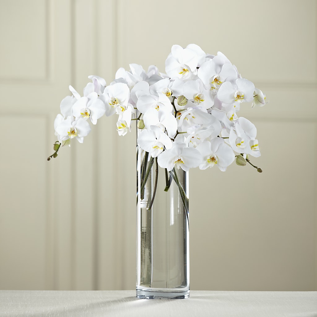 White Phalaenopsis Bouquet – Hilltop Florist Llc, Stanford KY