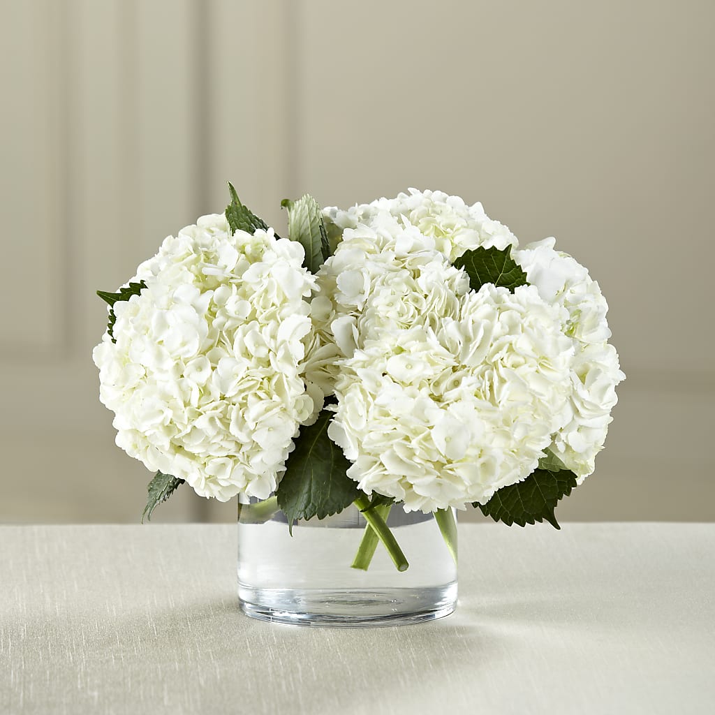White Hydrangea Bouquet – Hilltop Florist Llc, Stanford KY