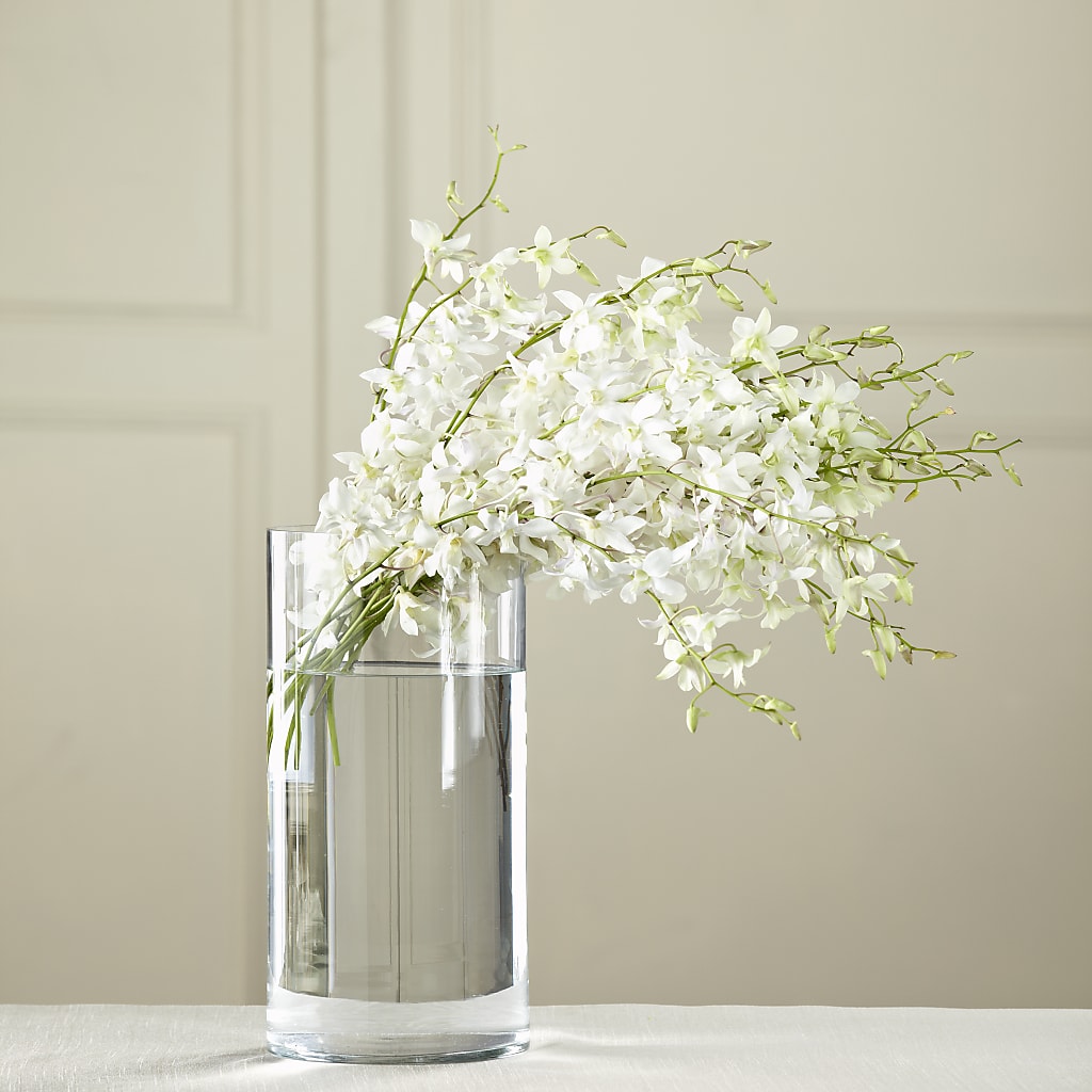 White Dendrobium Bouquet – Hilltop Florist Llc, Stanford KY