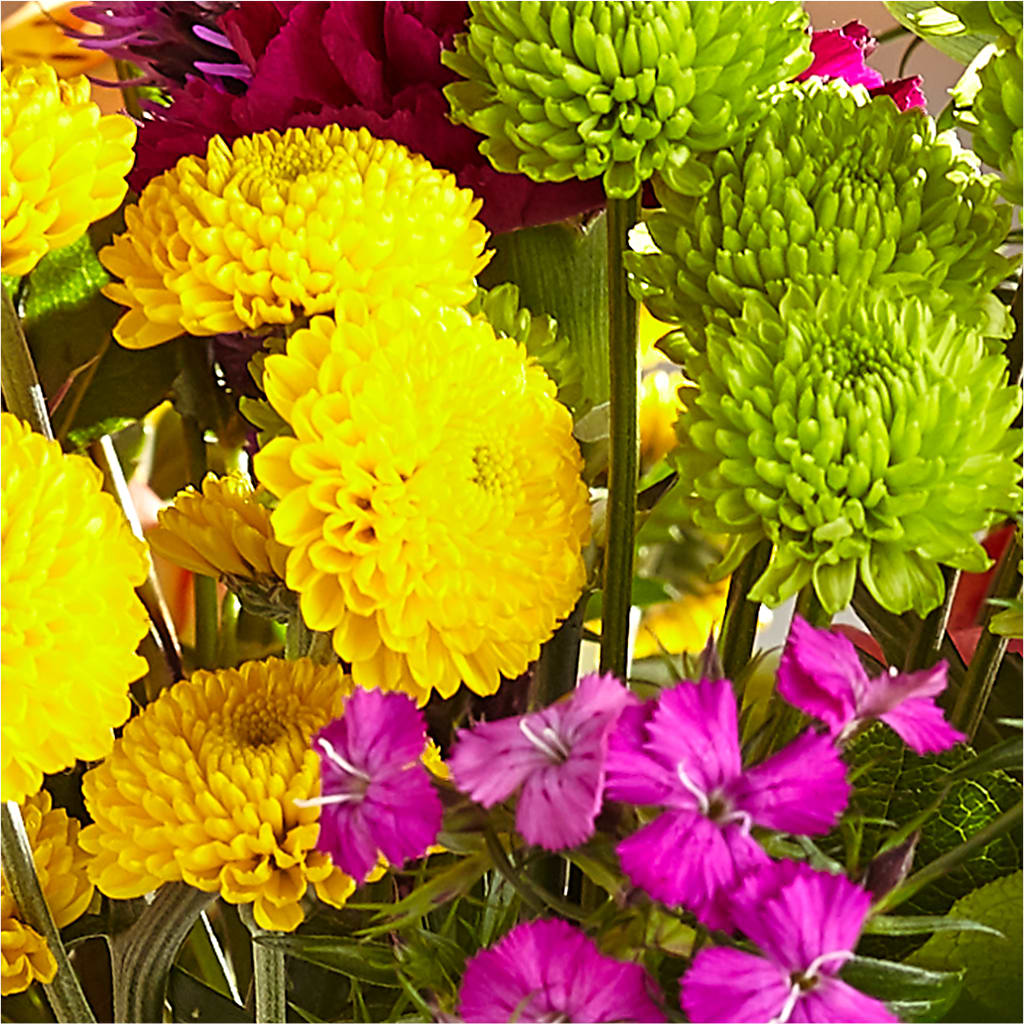 Bold & Bright – A Florist Original –  Hilltop Florist Llc, Stanford KY