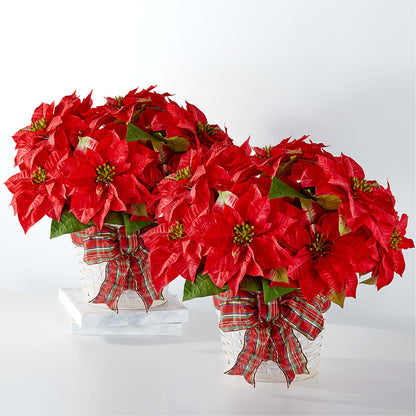 Happiest Holidays Poinsettia Bundle –  Hilltop Florist Llc, Stanford KY