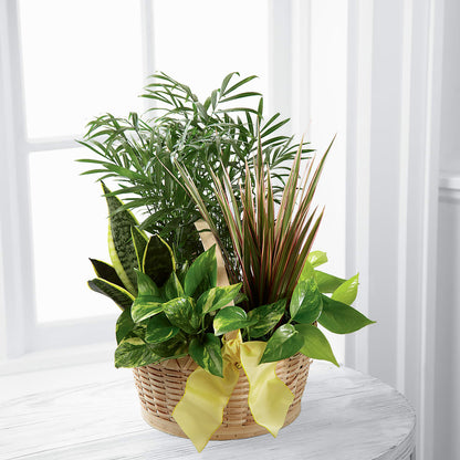 French Garden –  Hilltop Florist Llc, Stanford KY