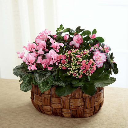 Pink Assortment –  Hilltop Florist Llc, Stanford KY