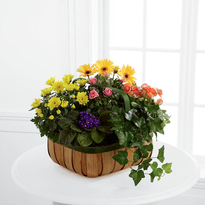Gentle Blossoms Basket –  Hilltop Florist Llc, Stanford KY