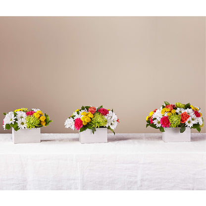 Sorbet Bouquet –  Hilltop Florist Llc, Stanford KY
