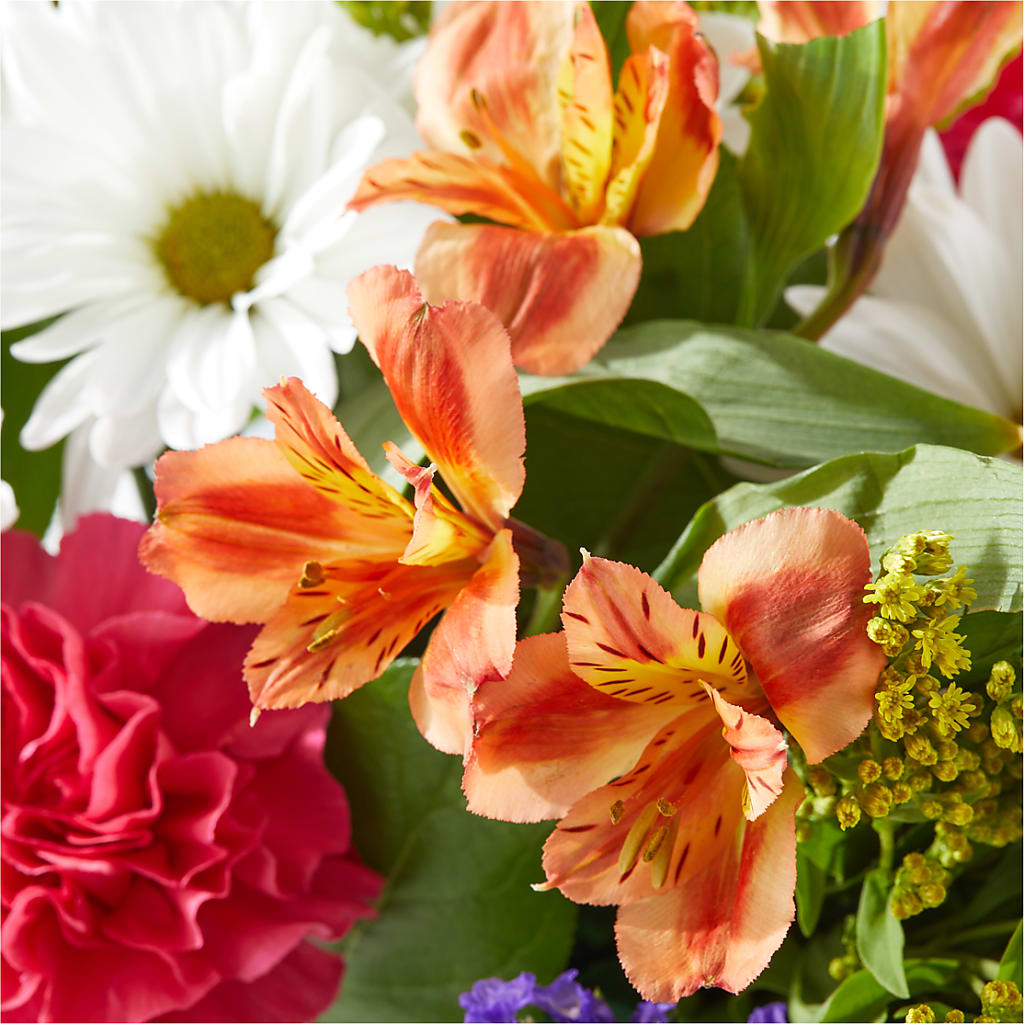 Oopsie Daisy Box Bouquet –  Hilltop Florist Llc, Stanford KY