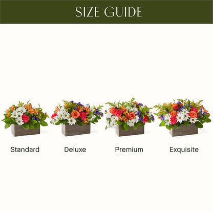 Oopsie Daisy Box Bouquet –  Hilltop Florist Llc, Stanford KY