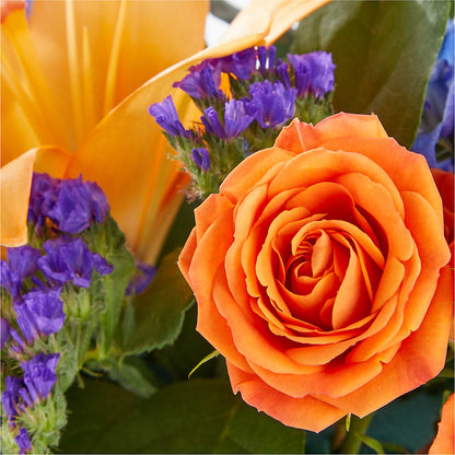 Radiant Citrus Box Bouquet –  Hilltop Florist Llc, Stanford KY