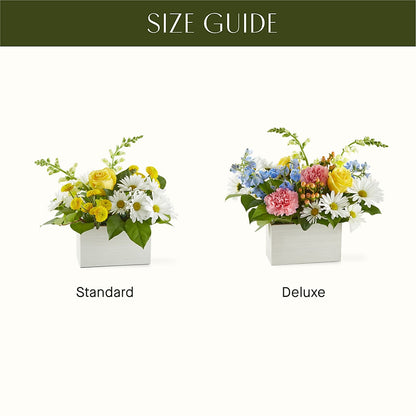 Sun Salutation Box Bouquet –  Hilltop Florist Llc, Stanford KY
