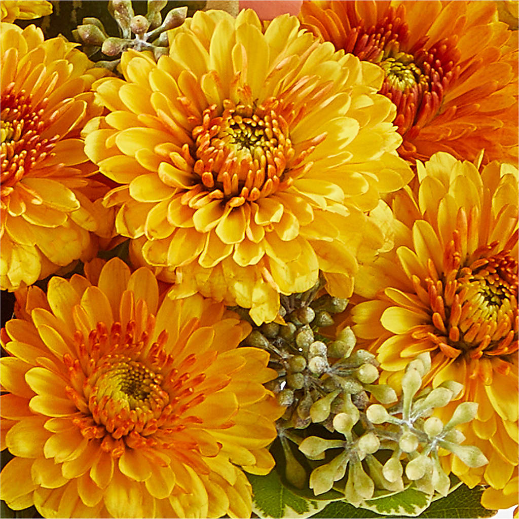 Peachy Pumpkin –  Hilltop Florist Llc, Stanford KY