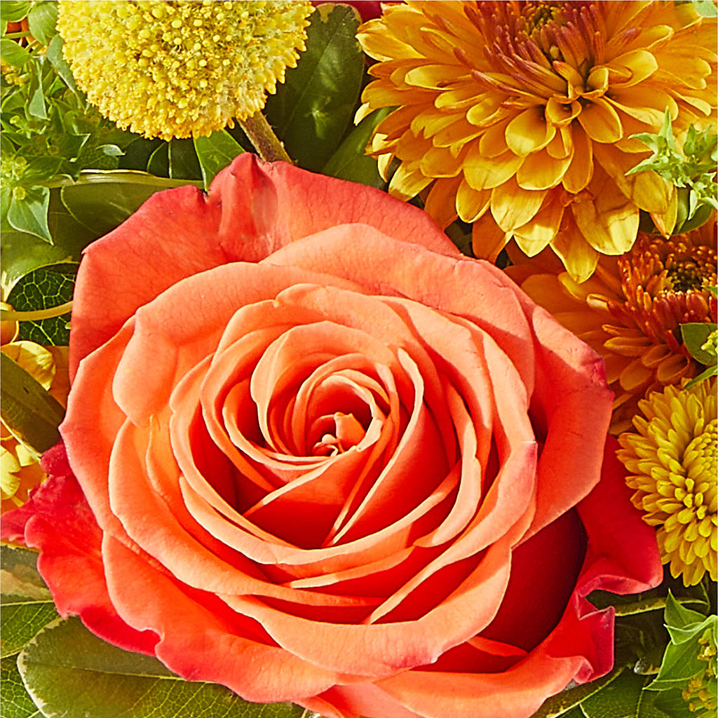 Gourdgeous Pumpkin –  Hilltop Florist Llc, Stanford KY