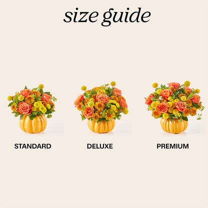 Gourdgeous Pumpkin –  Hilltop Florist Llc, Stanford KY