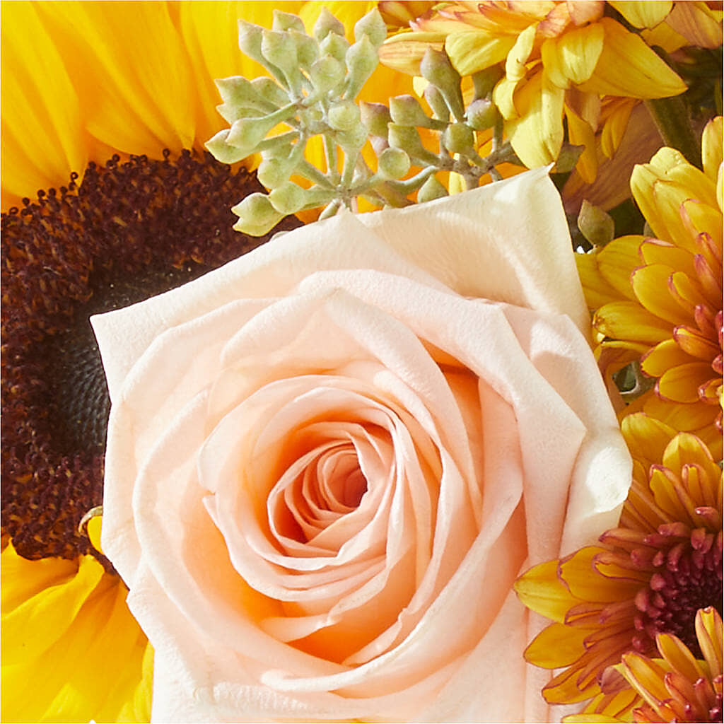 Pumpkin to Talk About Bouquet –  Hilltop Florist Llc, Stanford KY