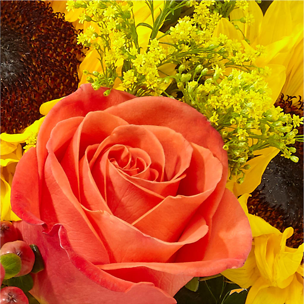 Pick of the Patch Pumpkin Bouquet –  Hilltop Florist Llc, Stanford KY