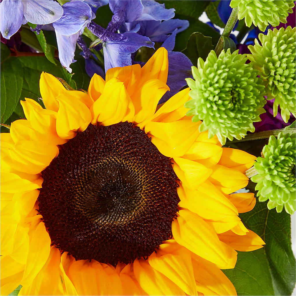 Catching Rays Bouquet –  Hilltop Florist Llc, Stanford KY
