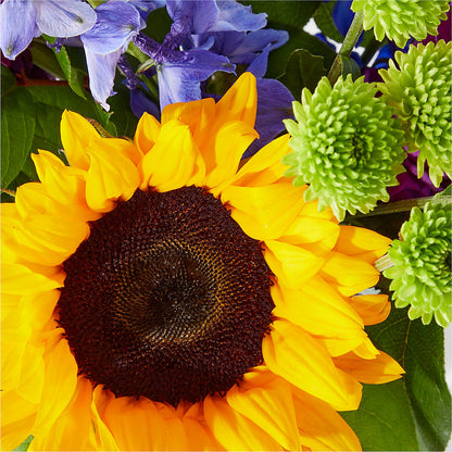Catching Rays Bouquet –  Hilltop Florist Llc, Stanford KY