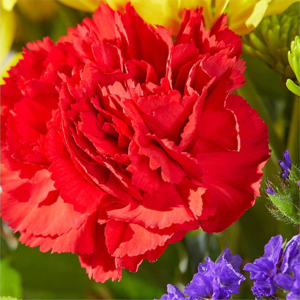 Brighter Days Bouquet –  Hilltop Florist Llc, Stanford KY