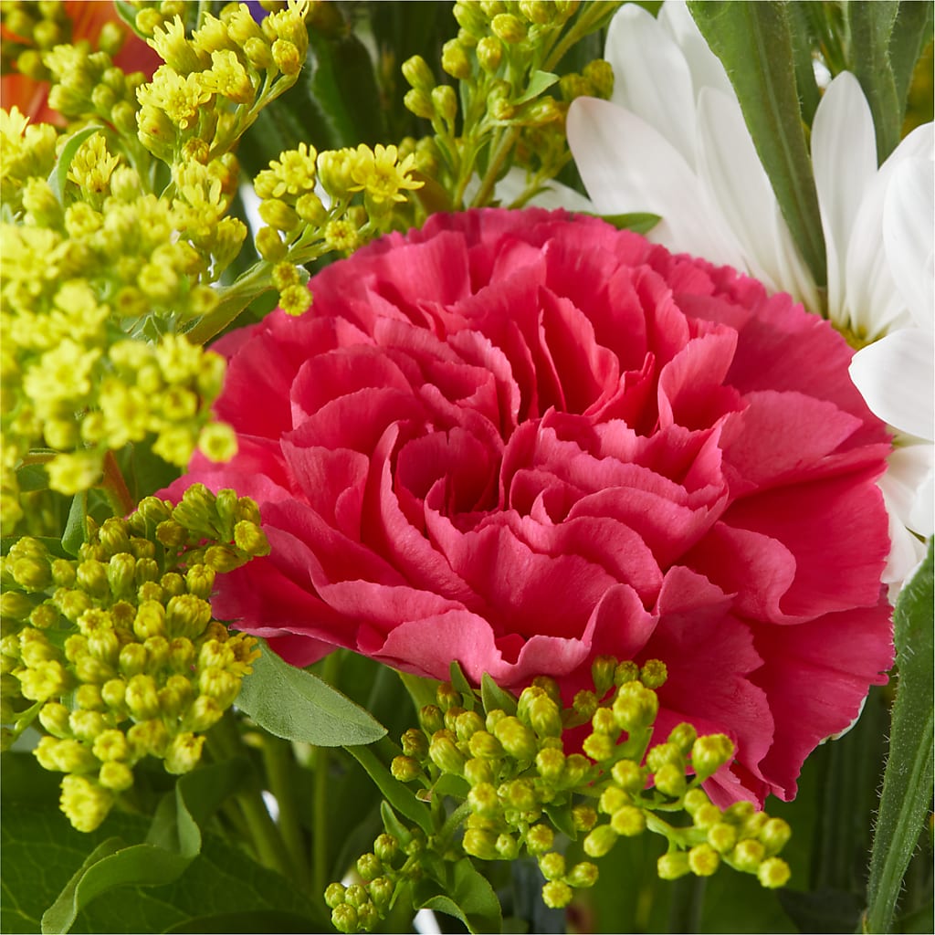 Oopsie Daisy Bouquet –  Hilltop Florist Llc, Stanford KY