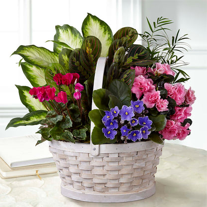 Peaceful Garden Planter –  Hilltop Florist Llc, Stanford KY