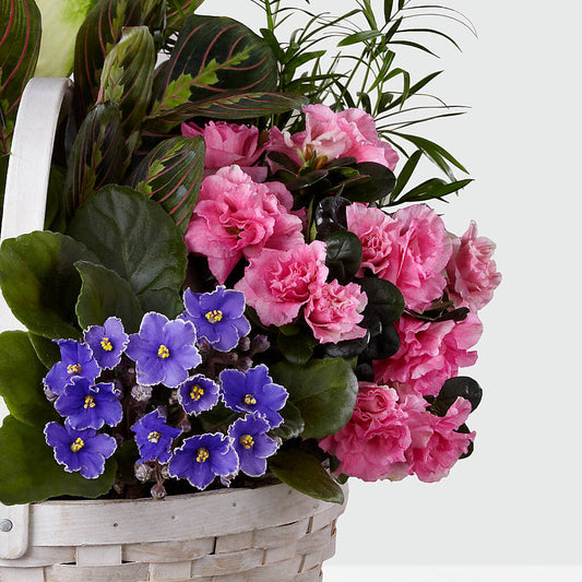 Peaceful Garden Planter –  Hilltop Florist Llc, Stanford KY