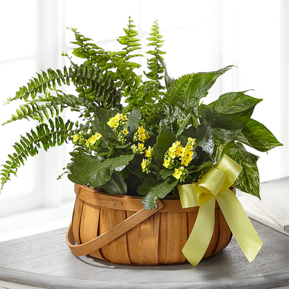 Always Dear Dishgarden –  Hilltop Florist Llc, Stanford KY