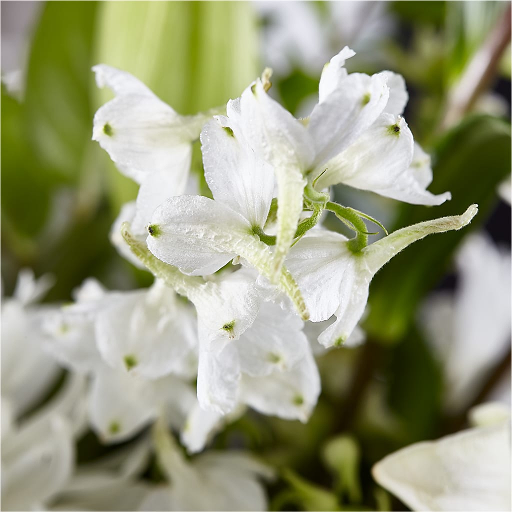Classic Ivory – A Florist Original –  Hilltop Florist Llc, Stanford KY