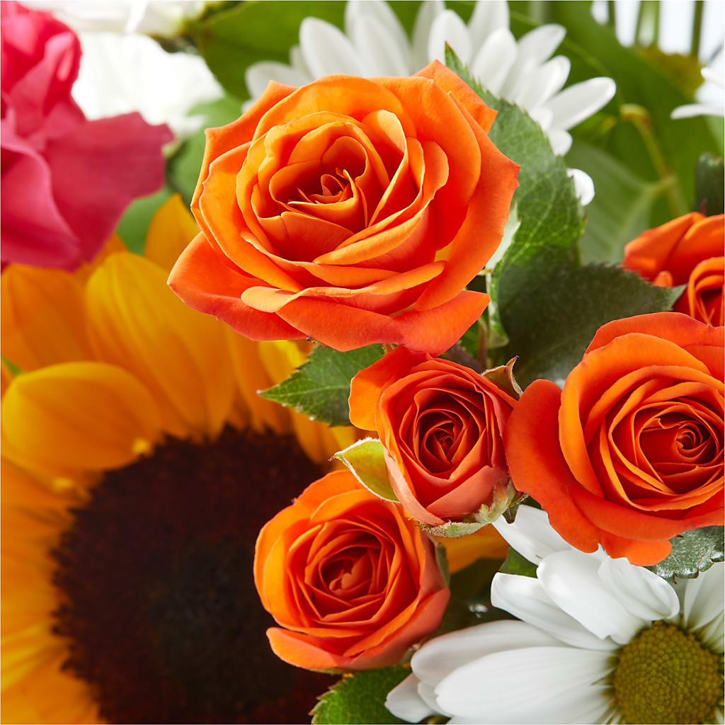 Sun-drenched Blooms Bouquet –  Hilltop Florist Llc, Stanford KY