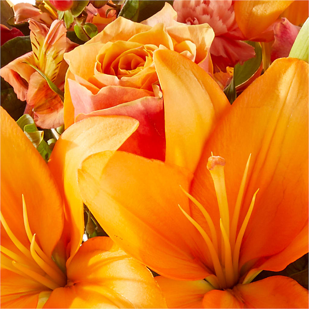 Afternoon Light Bouquet –  Hilltop Florist Llc, Stanford KY
