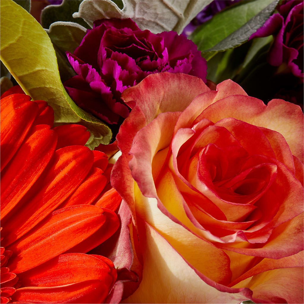 Sangria Bouquet –  Hilltop Florist Llc, Stanford KY