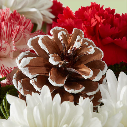Candy Cane Lane Bouquet –  Hilltop Florist Llc, Stanford KY