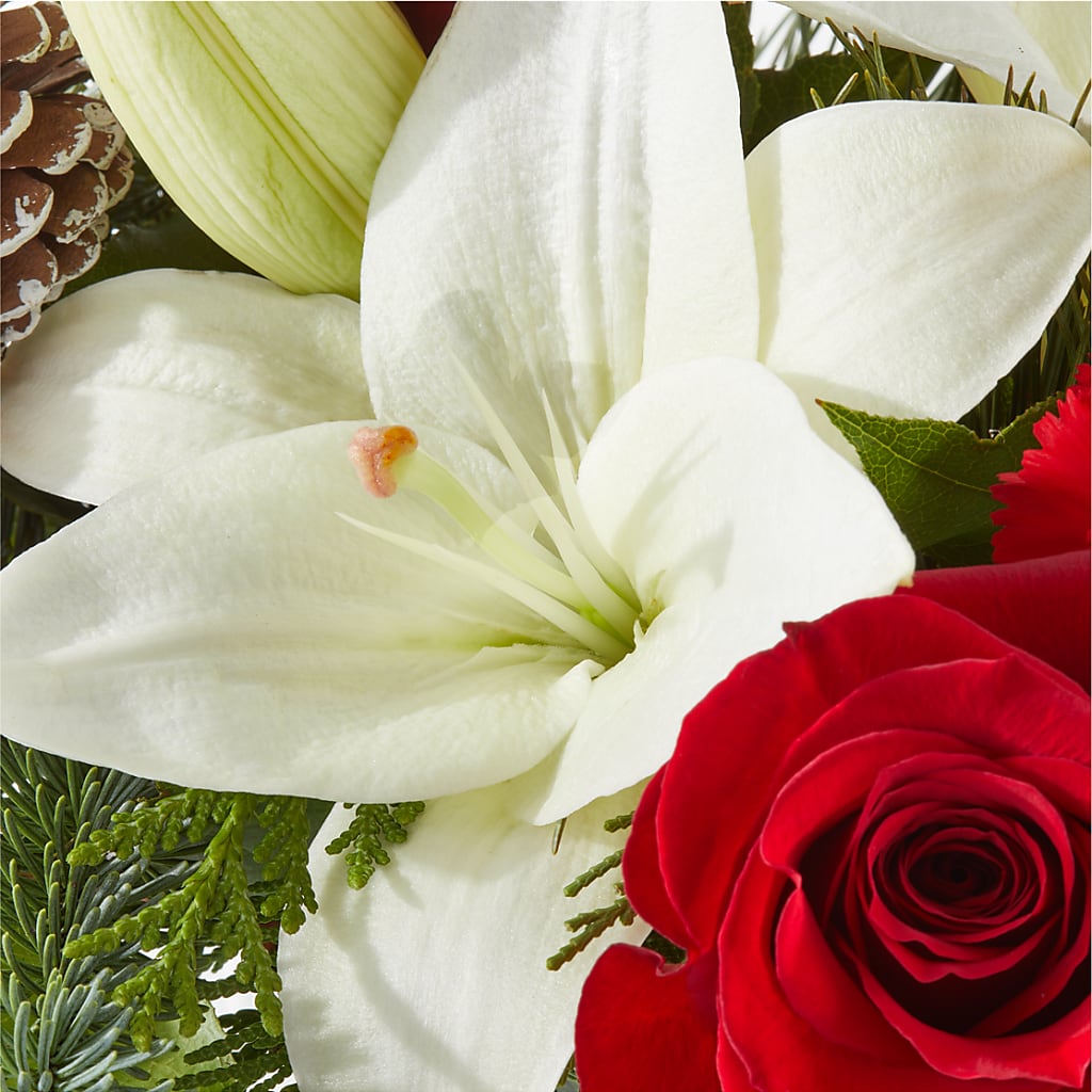 Oh So Jolly Bouquet –  Hilltop Florist Llc, Stanford KY