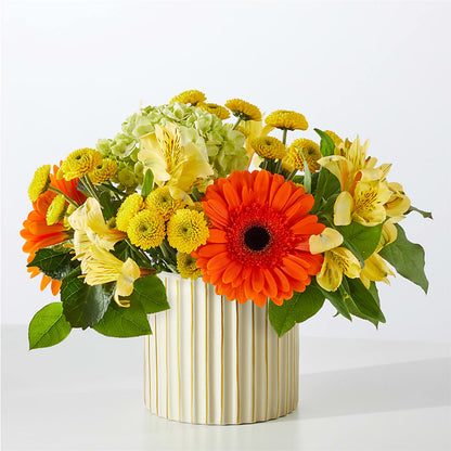Autumn Sunshine Bouquet with Ivory Vase –  Hilltop Florist Llc, Stanford KY