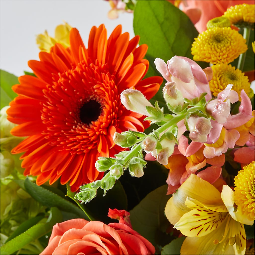 Autumn Sunshine Bouquet –  Hilltop Florist Llc, Stanford KY
