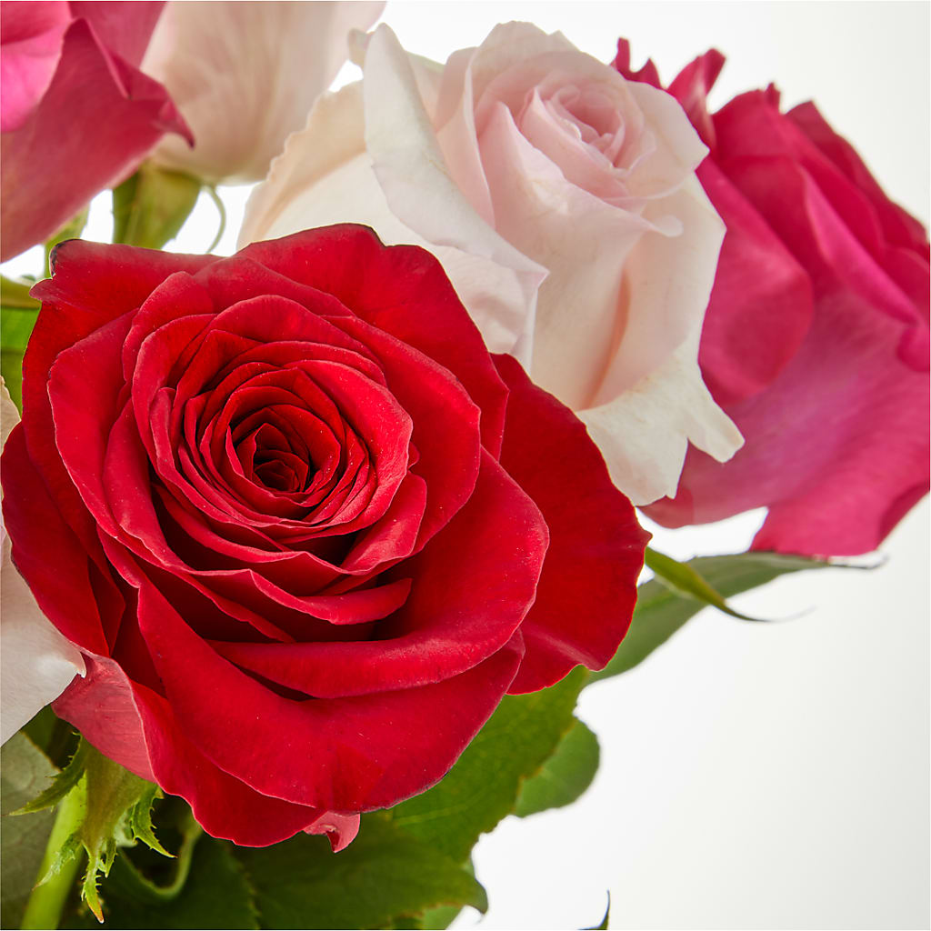 Charming Rose Bouquet –  Hilltop Florist Llc, Stanford KY