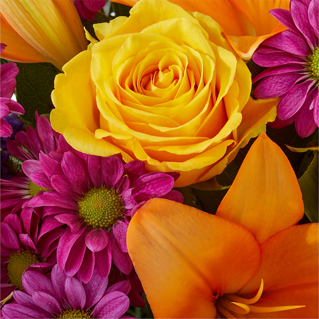 Colorful Visions Bouquet –  Hilltop Florist Llc, Stanford KY