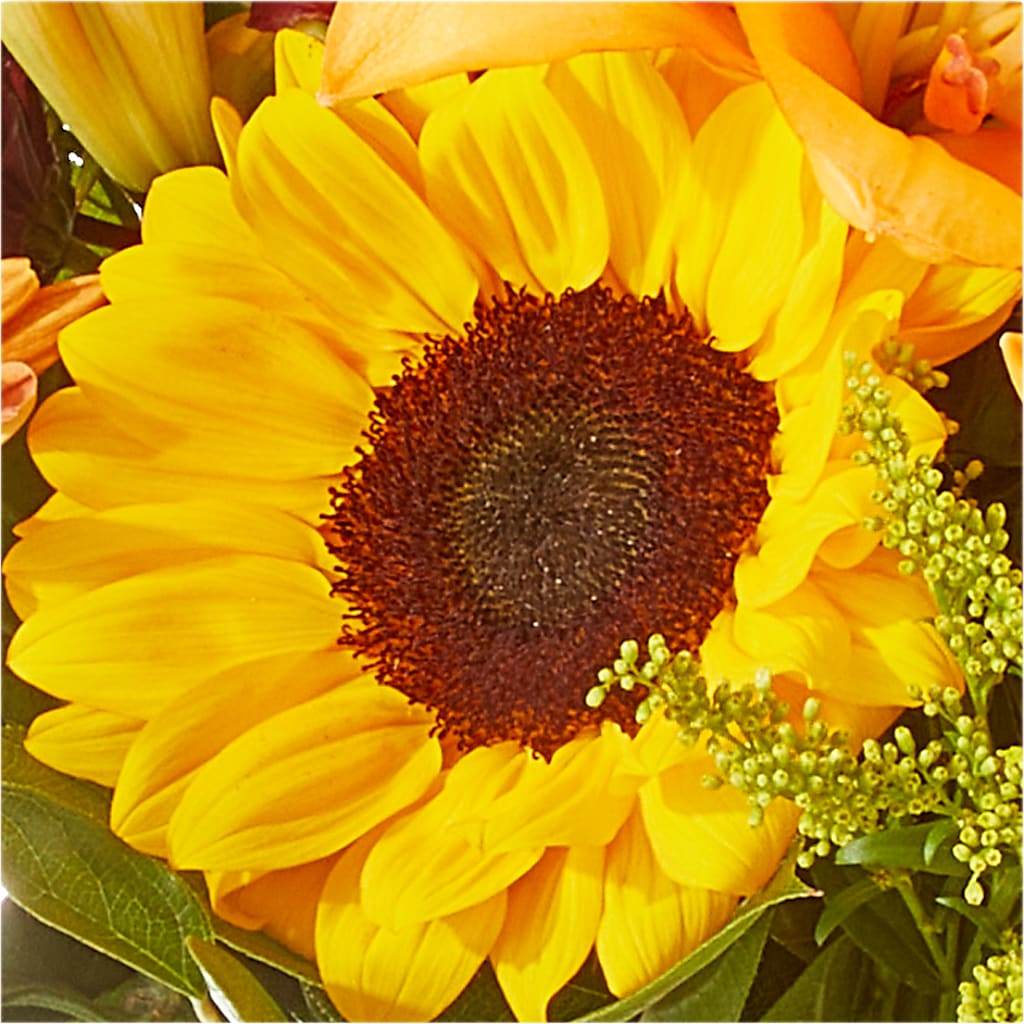Seasons Change Bouquet –  Hilltop Florist Llc, Stanford KY