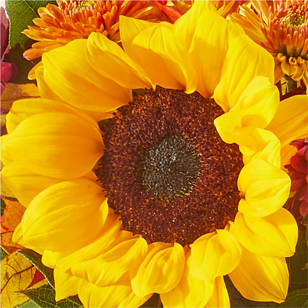 Sunny Side Bouquet –  Hilltop Florist Llc, Stanford KY