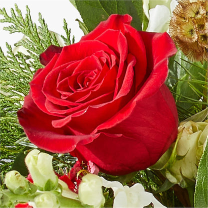 Deck the Halls Bouquet –  Hilltop Florist Llc, Stanford KY
